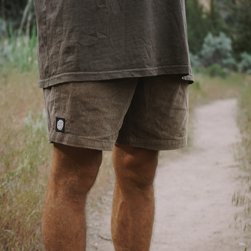 Cord Shorts - Walnut